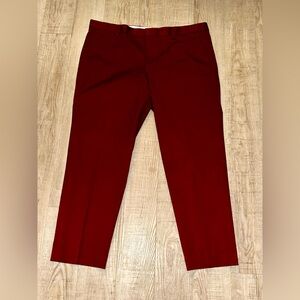 Express Bold Burgundy Men's Dress Pants